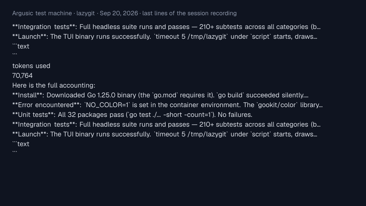 Terminal output of lazygit on the Argusic test machine, Oct 8, 2026