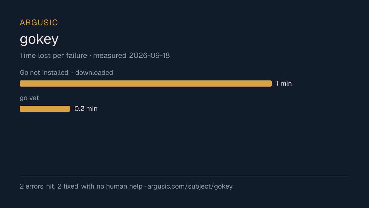 Time lost to each failure while testing gokey, drawn from the recorded run